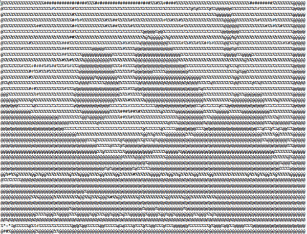 effetto attacco slowloris